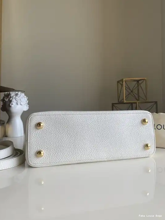 Fake Louis Bags CAPUCINES VUITTON PM LOUIS 0531